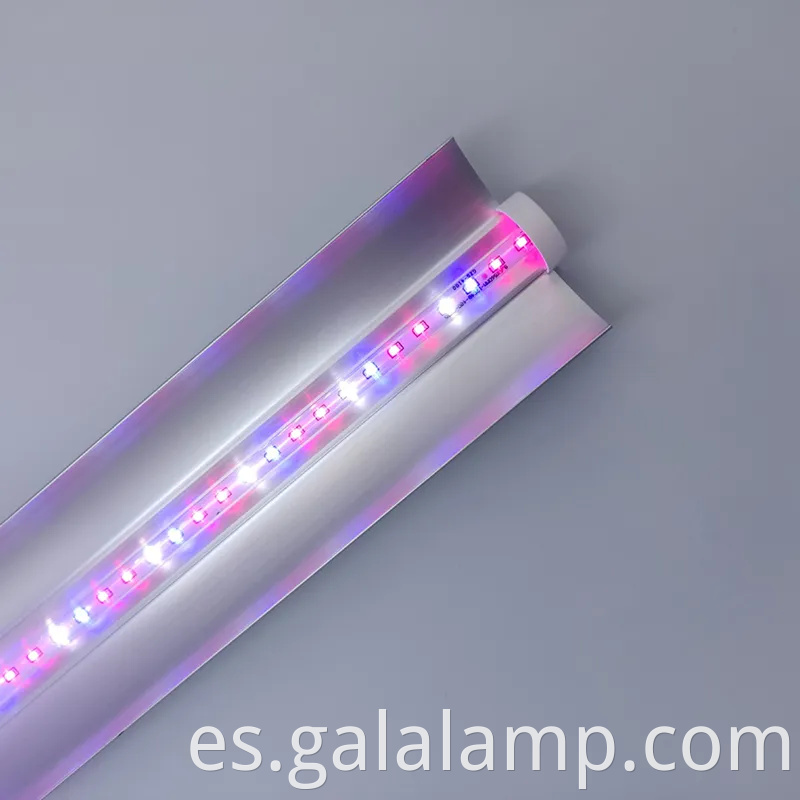 Luz de cultivo LED de espectro T8 completo para el crecimiento de las plantas interiores